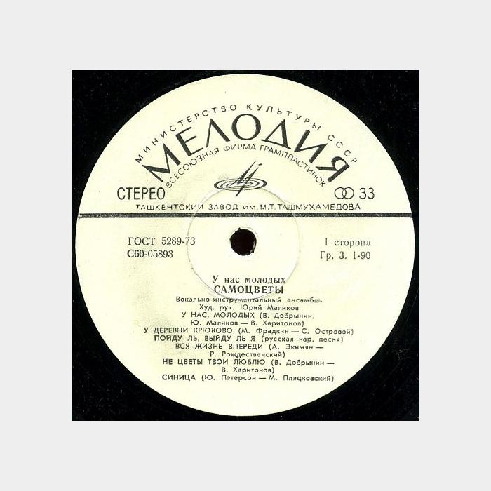 Самоцветы - У нас молодых (ex-/ex)