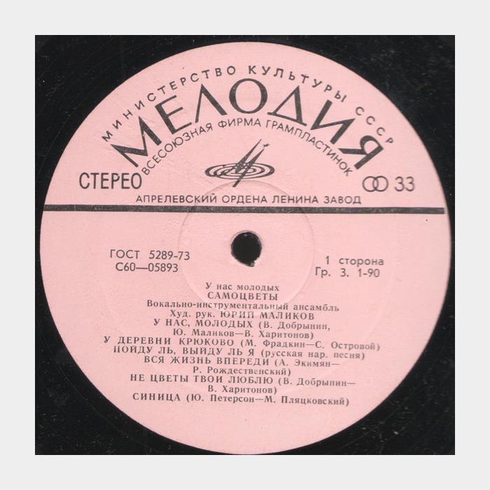 Самоцветы - У нас молодых (ex-/ex)