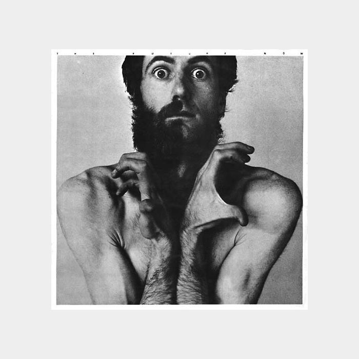 Peter Hammill - The Future Now (ex+/ex)