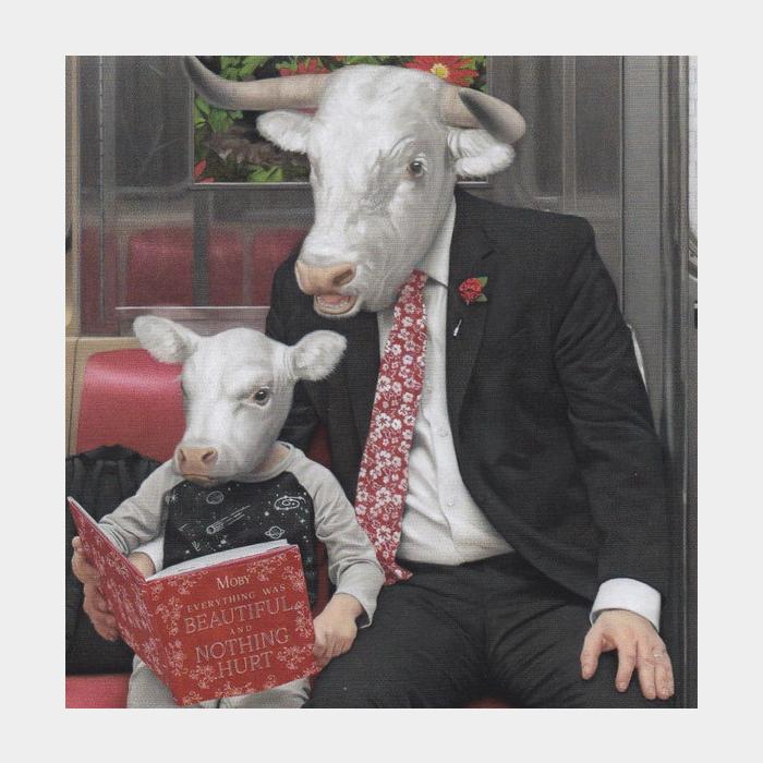 CD Moby - Everthing Was Beatiful, And Nothing Hurt