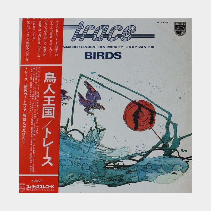 Trace - Birds (ex-/ex, scratch)