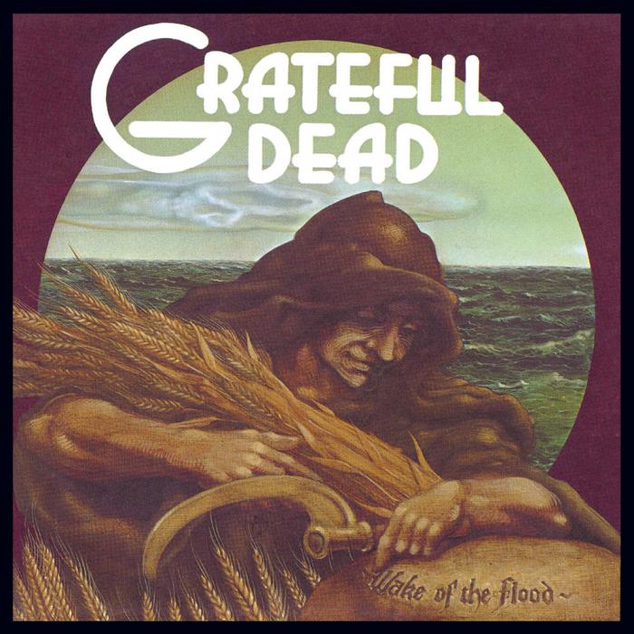 Grateful Dead - Wake Of The Flood (ex+/ex+)