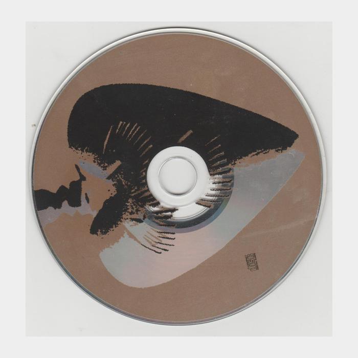 CD Mark Knopfler - Golden Heart