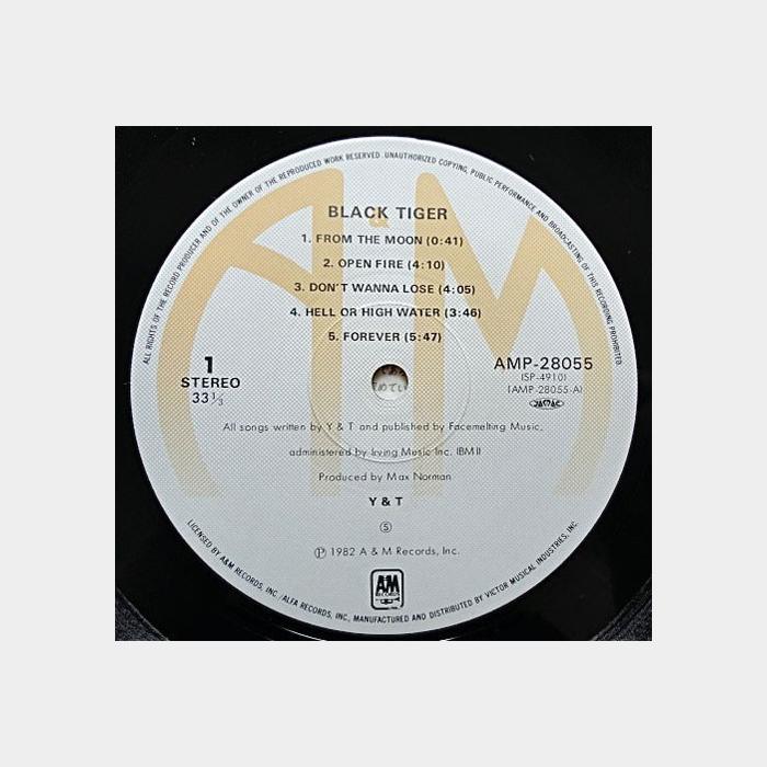Y&T - Black Tiger (ex+/ex+, obi)