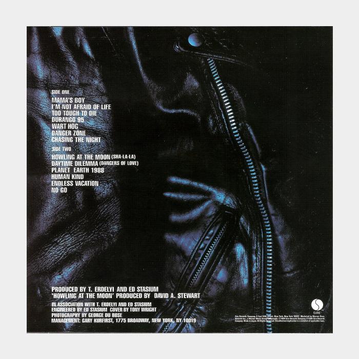 MV Ramones - Too Tough To Die