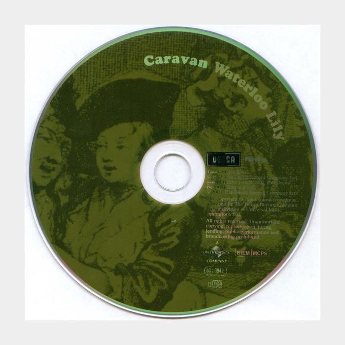 CD Caravan - Waterloo Lily