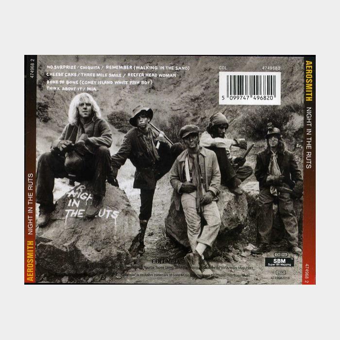 CD Aerosmith - Night In The Ruts
