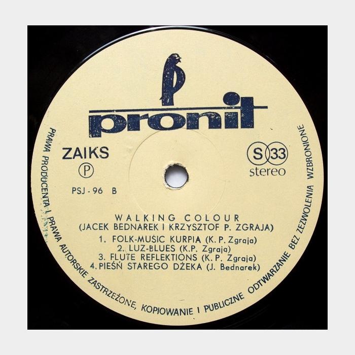 Duo Bednarek-Zgraja – Walking Colour (ex/ex)