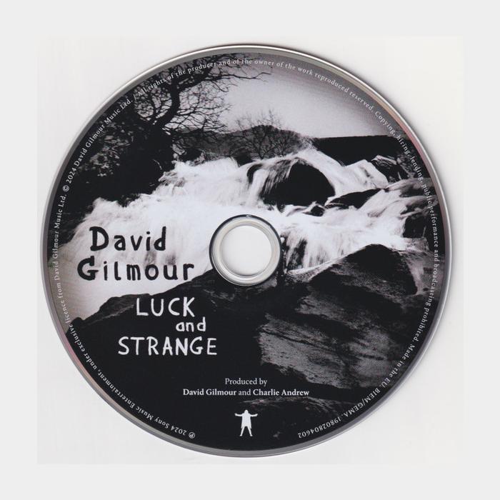 CD David Gilmour - Luck And Strange
