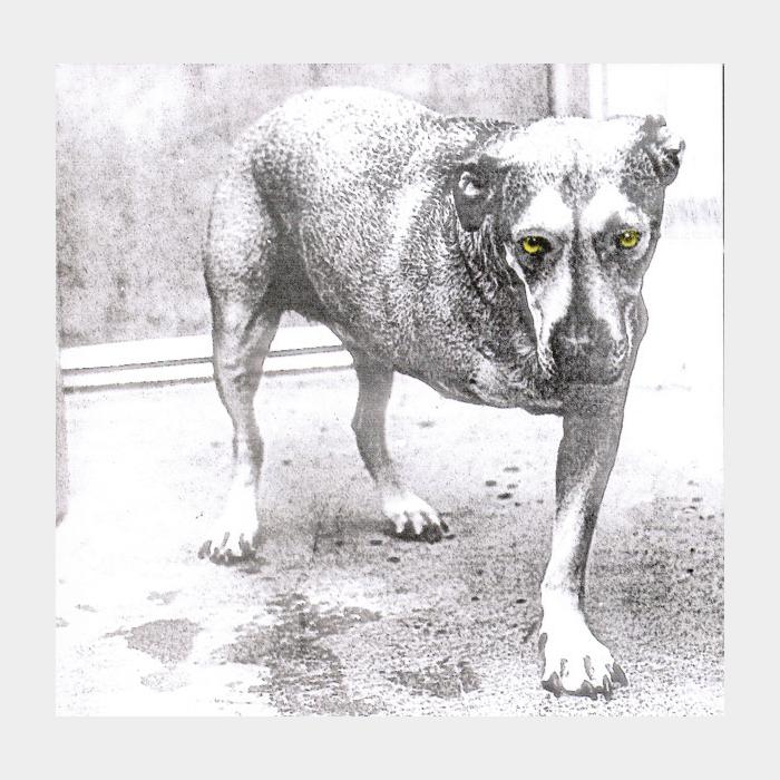 CD Alice In Chains - Alice In Chains